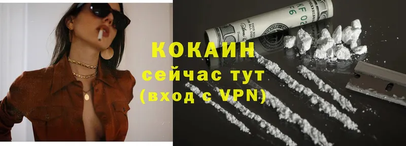 Cocaine 99%  купить закладку  Ижевск 